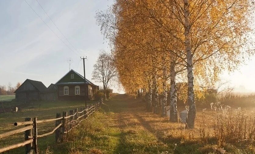 Фразы из деревни. Сейчас бы проснуться утром в деревне. Фон деревня. Эх сейчас бы проснуться утром в деревне у бабушки. Сейчас бы проснуться в деревне у бабушки.