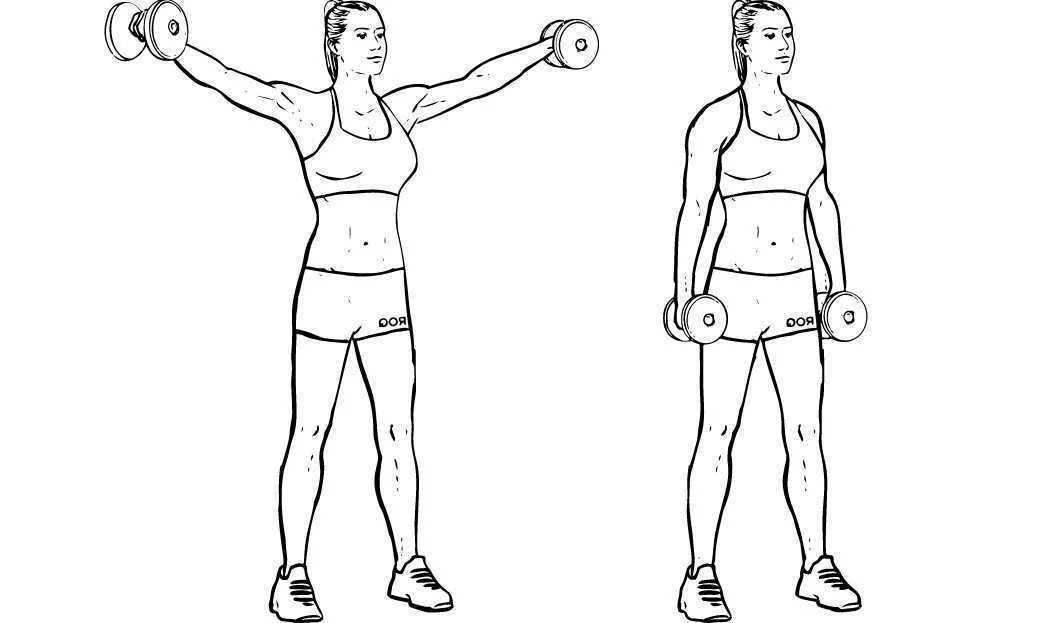 Отведение гантелей стоя. Подъемы(махи) гантелей через стороны. Упражнение разводка гантелей стоя. Разводка стоя с гантелями техника выполнения. Махи (разведения) гантелями стоя.