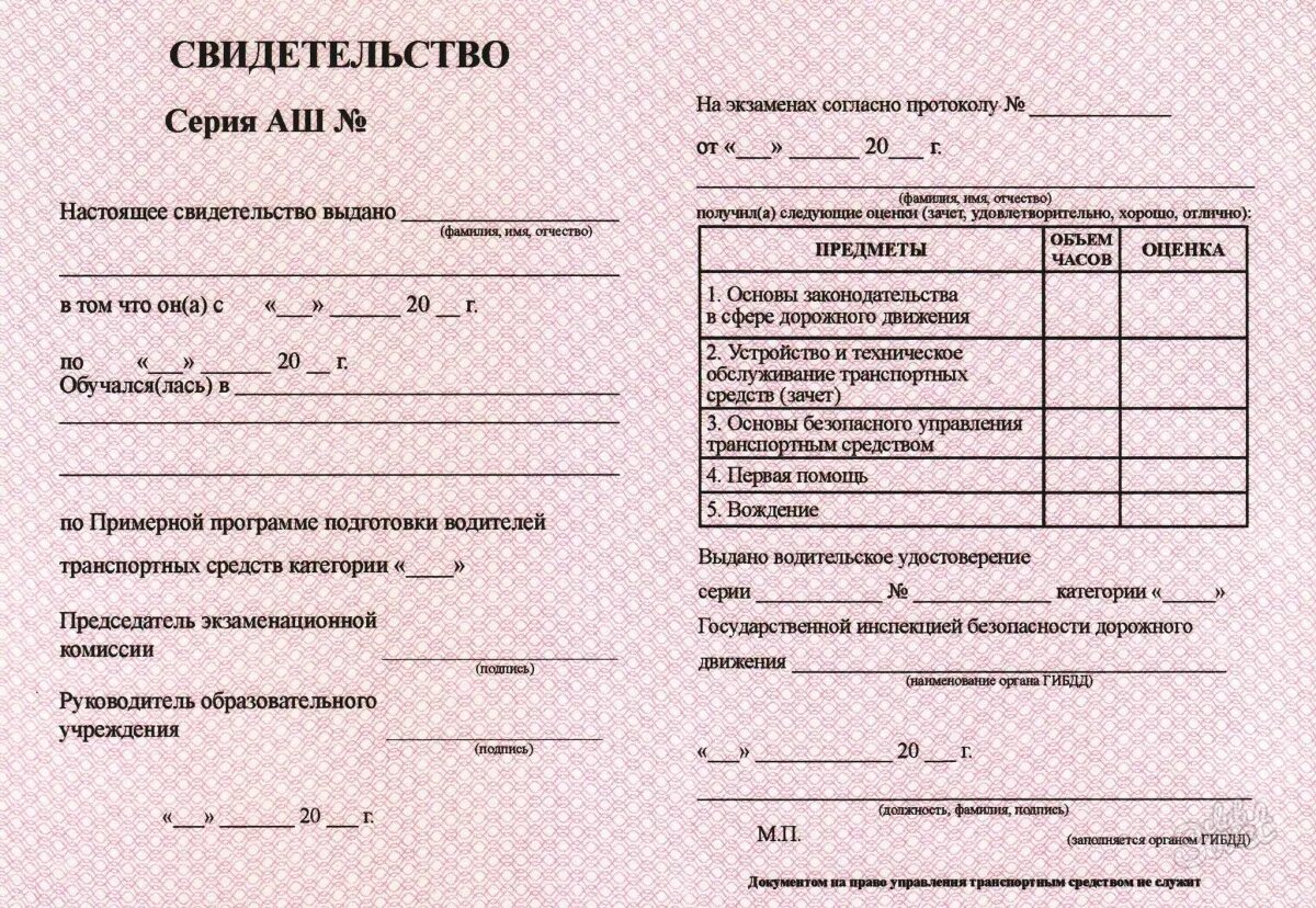 Сертификат об окончании фотошколы. Сертификат об окончании автошколы. Сколько действует свидетельство водителя. Сертификат об окончании автошколы образец. Свидетельство об окончании автошколы 2021.