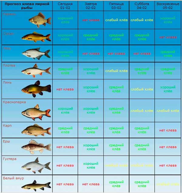 В субботу можно рыбу. Прогноз клева. Клев рыбы. Таблица рыболова. Прогноз клёва рыбы.