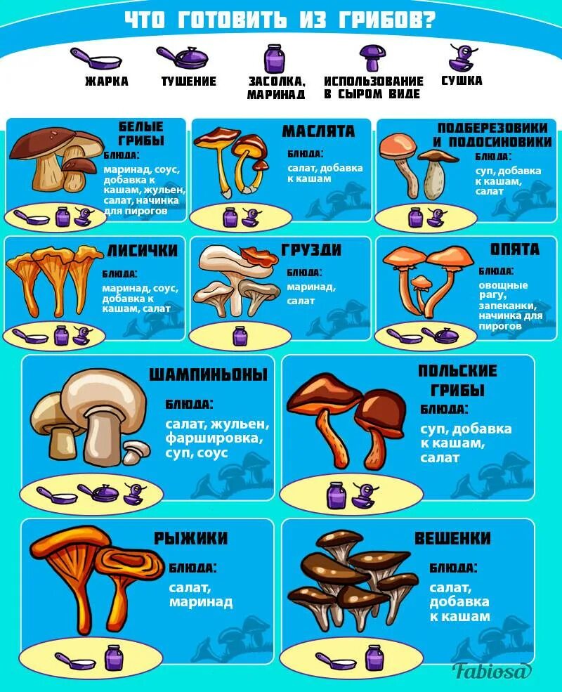 Таблица варки грибов. Грибы шпаргалка. Время варки грибов таблица. Сколько варить грибы таблица.