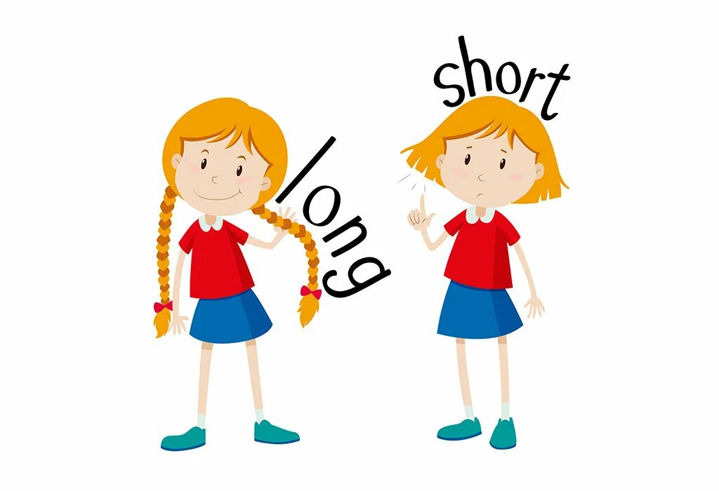 Tall short fat thin. Long short. Картинки long short. Long or short рисунок. Long shorts с прозрачным фоном.