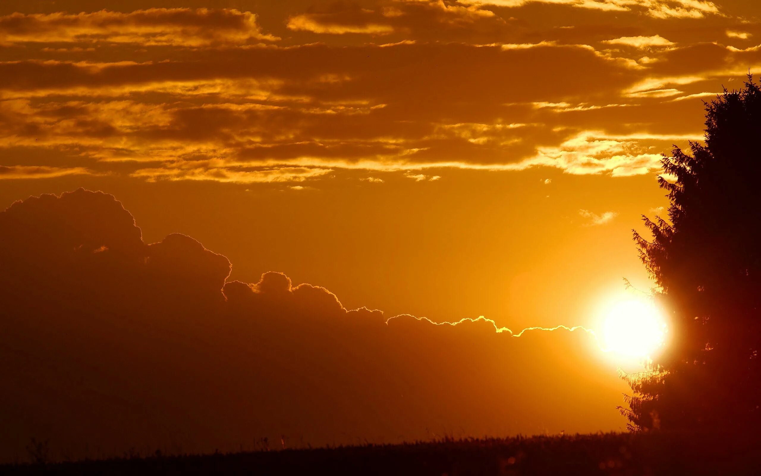 Sun us. Закат солнца. Красивое солнце. Рассвет солнца. Небо рассвет.