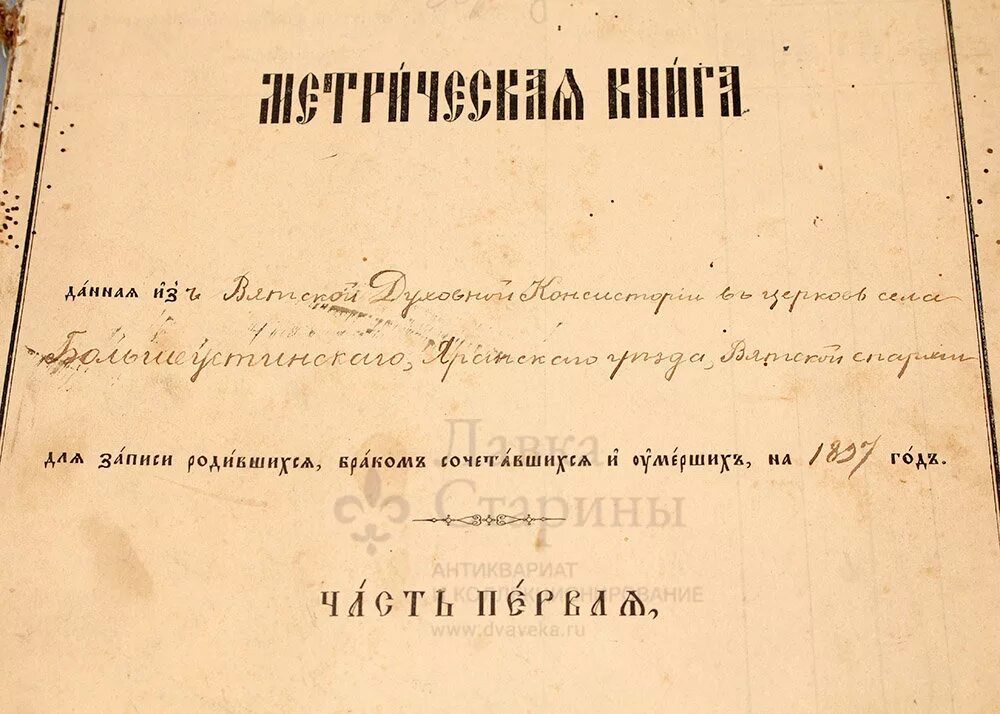 Метрическая книга вятской губернии вятского уезда. Метрические книги вятской губернии. Метрические книги церквей алтайской духовной миссии список. Церковные метрические книги. Метрические книги вятской губернии.