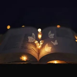 Доброй ночи книга