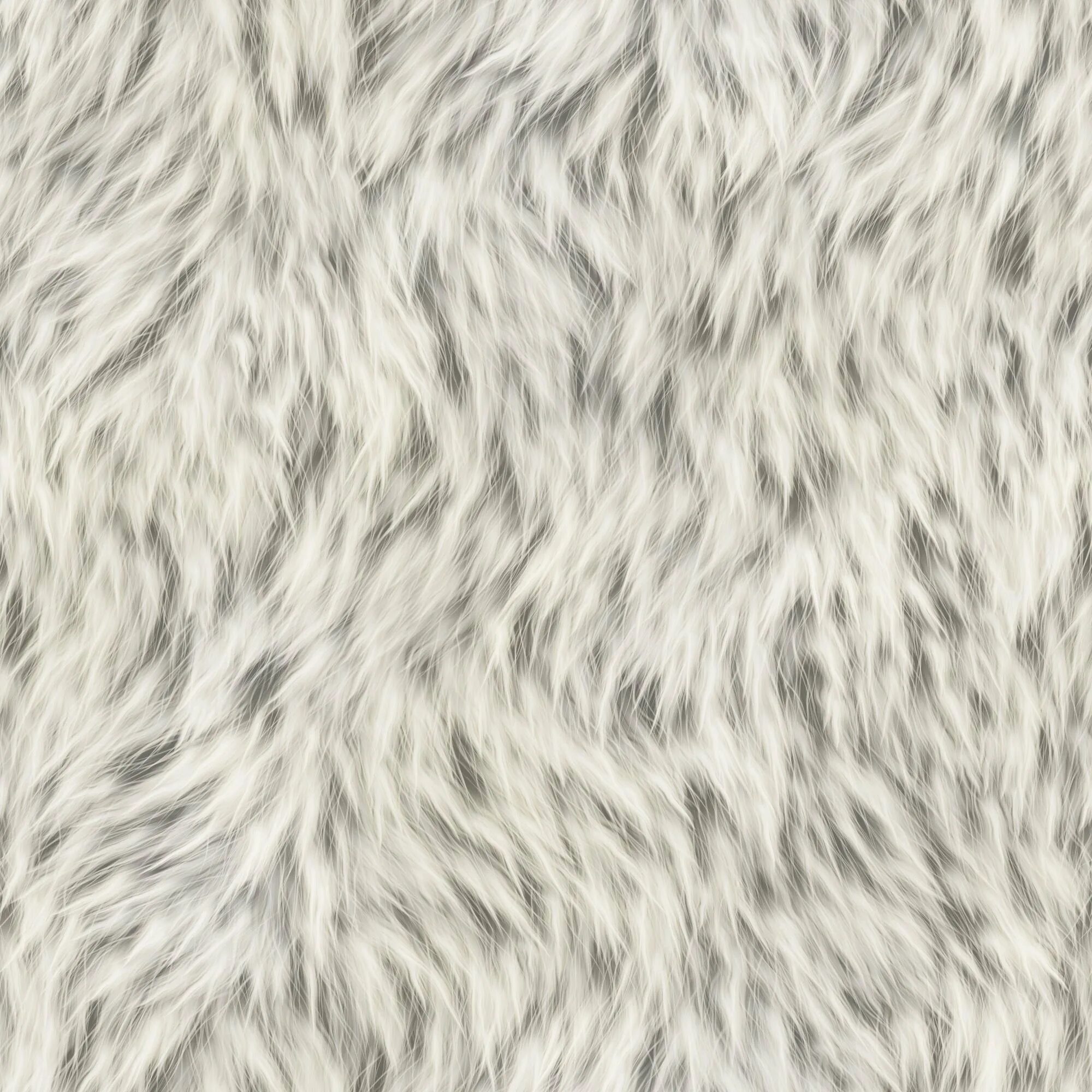 Cat texture