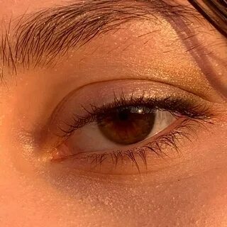 2 brown eyes