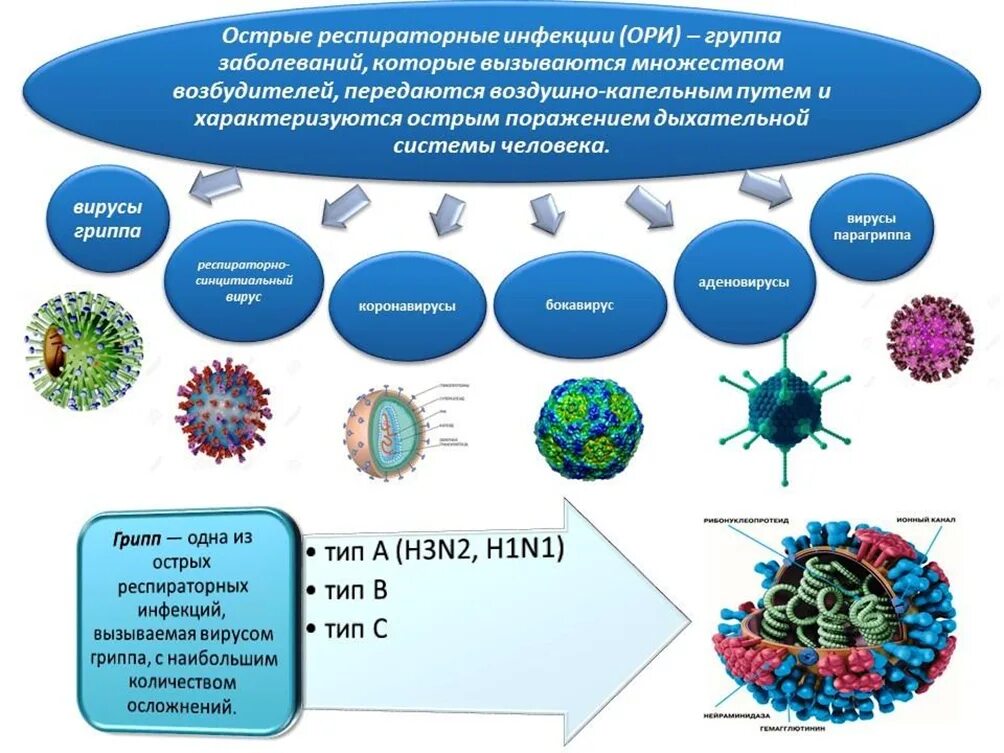 Аденовирус гриппа. Вирус аденовирусной инфекции. Пути передачи инфекции коронавирусной инфекции. Вирувызвающие респтраторные втрусные инфекции. Вирусы профилактика вирусных заболеваний.