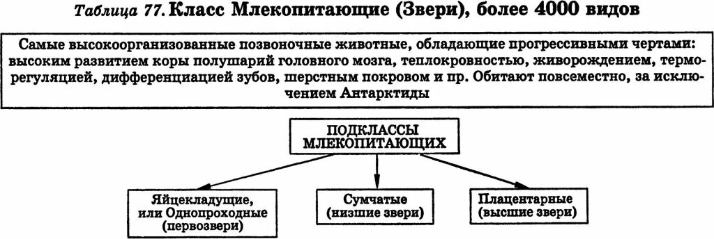 Класс млекопитающих таблица. Отряды млекопитающих таблица 7 класс. млекопитающие животные таблица. класс млекопитающие общая характеристика таблица. подклассы млекопитающих таблица.