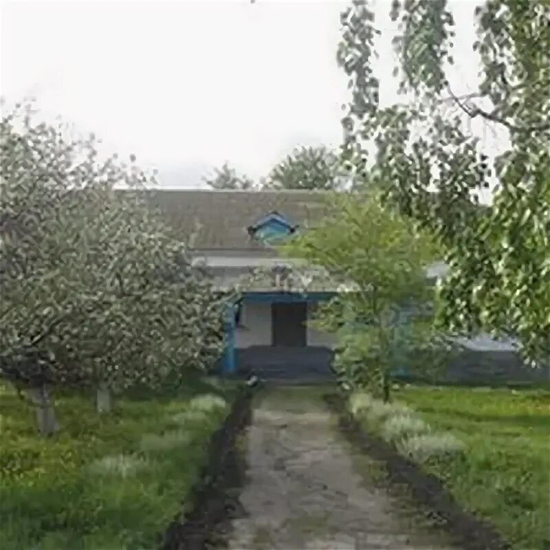 Ореховская моу. Ореховская моу. Ореховская моу. Ореховская моу. Ореховская моу.
