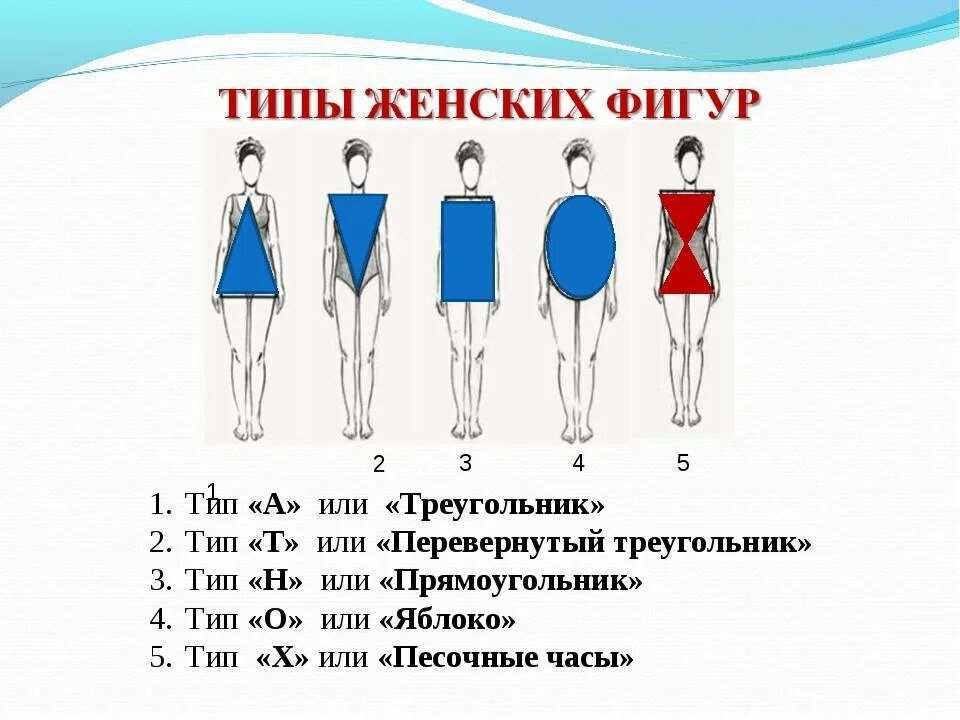 Фигура человека название. Типы фигур. Типы женских фигур. Типы телосложения у женщин. Тип фигуры и телосложения..