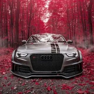 Фото audi