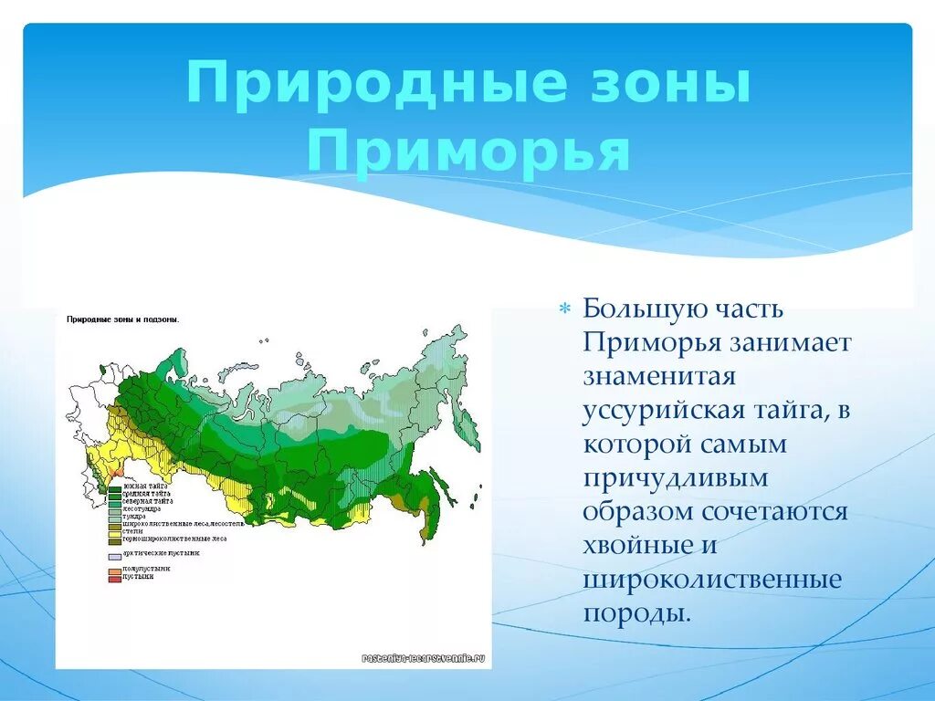 Какую территорию россии занимает тайга. Уссурийская Тайга природная зона. Природные зоны Уссурийска. Уссурийская Тайга на карте. Уссурийская Тайга географическое положение на карте.
