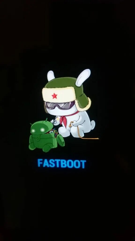 Fastboot flash failed. Fastboot flash failed