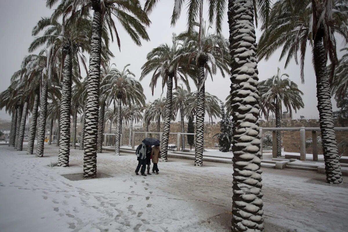 Температура в каире. Снег в Каире. Снег в Шарм Эль Шейхе. Снег в Каире 2019. Снег в Египте.