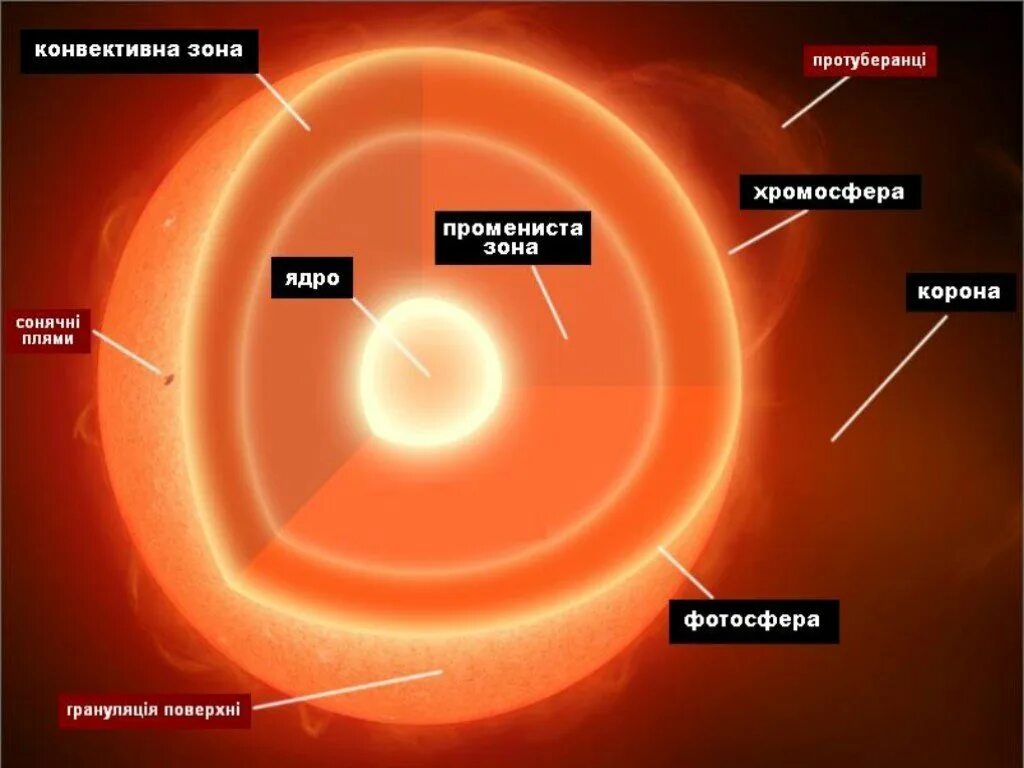 Солнце и звезды астрономия 11 класс. Строение ядра солнца. Внутреннее строение солнца. Солнце в разрезе. Солнце структура и строение.