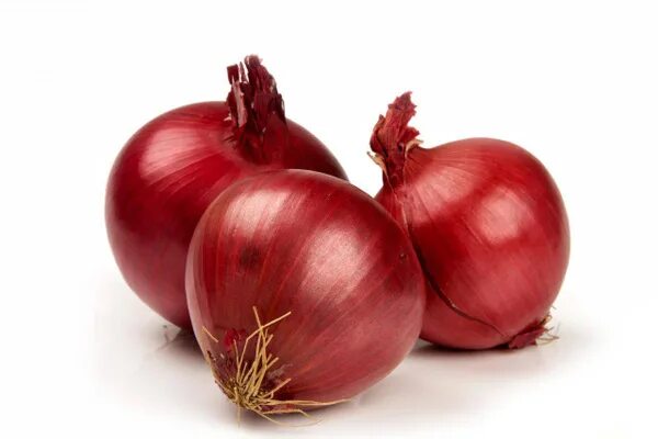 The Onion Garuda's Lemmy