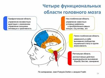Дисфункции срединных структур у детей