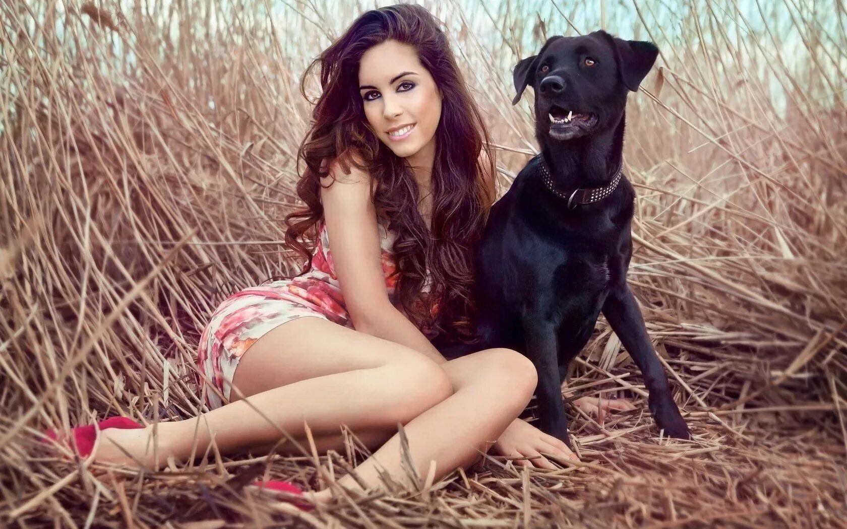 Катрина Доберман модель. Девушка с собачкой. Красивая девушка с собачкой. Девушка с собакой фотосессия.