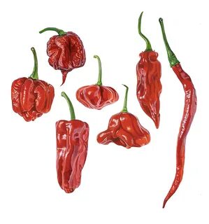 Рисунки перцев