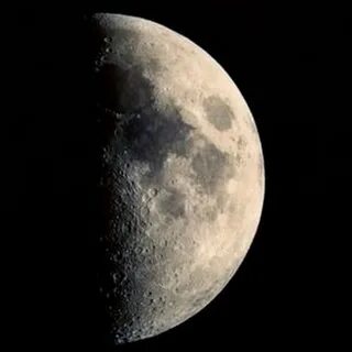 Moon society