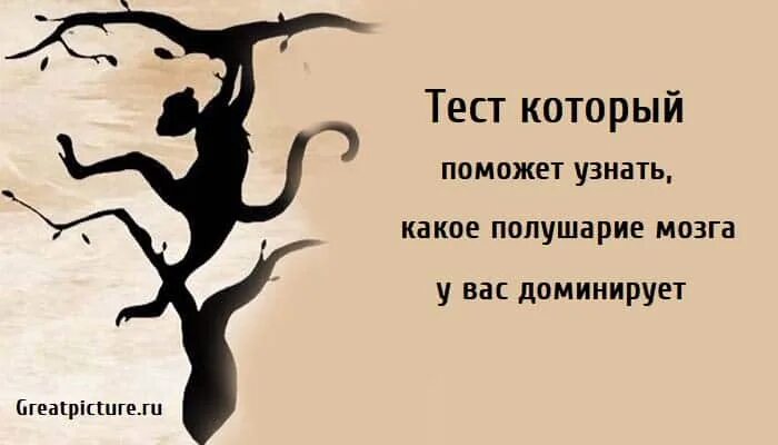 Тест какое полушарие доминирующее. Тест на доминирующее полушарие мозга. тест какое полушарие мозга доминирует. тест какое полушарие у вас доминирует. тест на какое полушарие мозга доминирует по картинке.