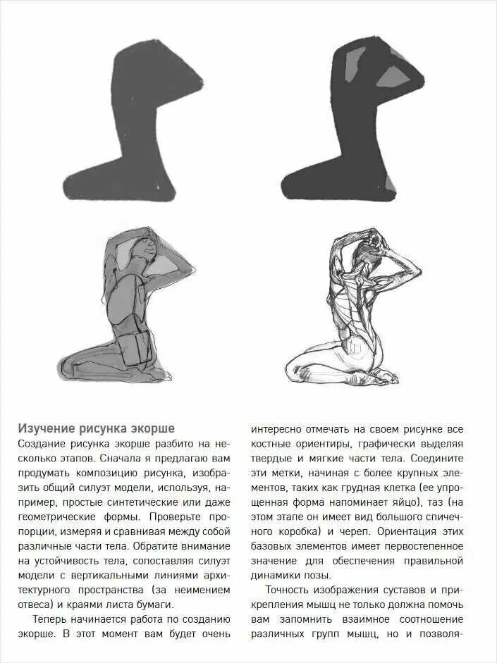 мишель лауричелла морфо анатомия. мишель лауричелла морфо анатомия. мишель лауричелла морфо. морфо анатомия для художников. мишель лауричелла анатомия для художников.