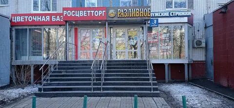 Консультация плещеева 28