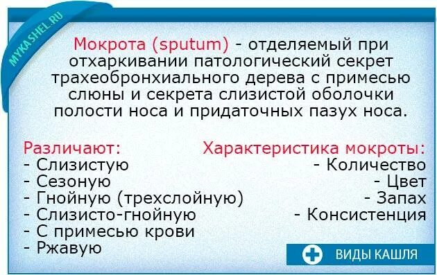 Как отделяется мокрота. У здорового пациента мокрота в мл.