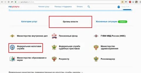 Почему нет налогов на госуслугах