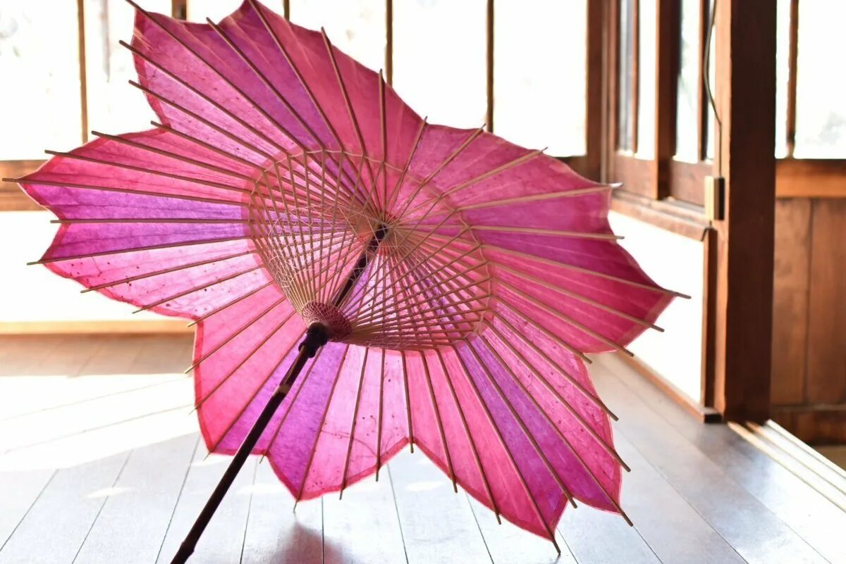 Это экзотика мокнешь без зонтика. Парасоль зонт японский. Японский зонт kasabiyori. Вагаса японский зонт. Китайский зонтик цветок.