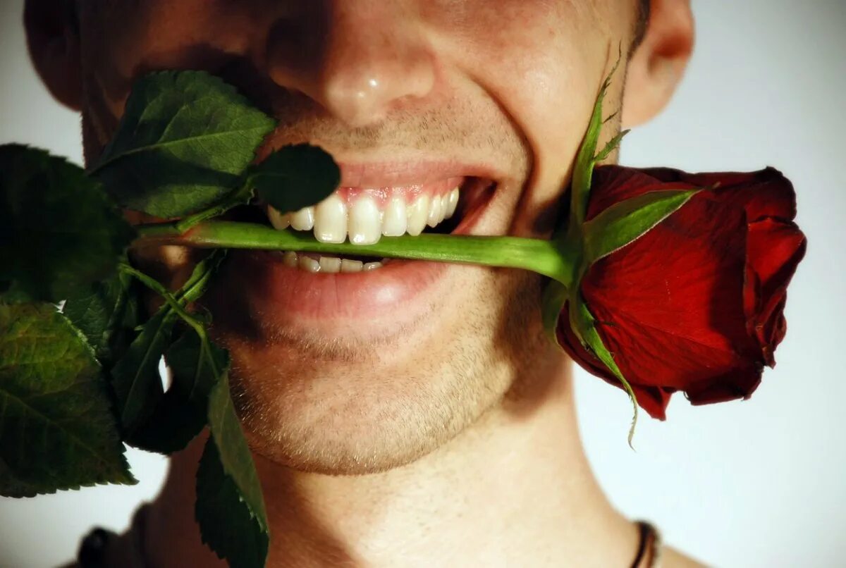 Мужчина со цветами. Мужчина с розой в зубах. Мужчина с цветами. Красивый мужчина с цветами. Цветок во рту.