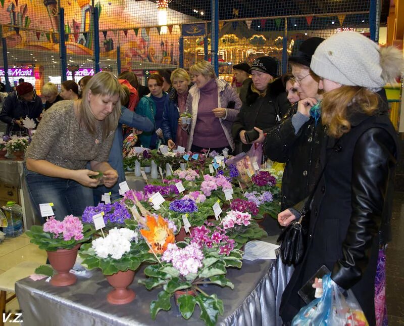 Выставки в тц. Выставка в торговом центре. Фотовыставка в тц. Фотовыставка в торговом центре. Выставки в тц.