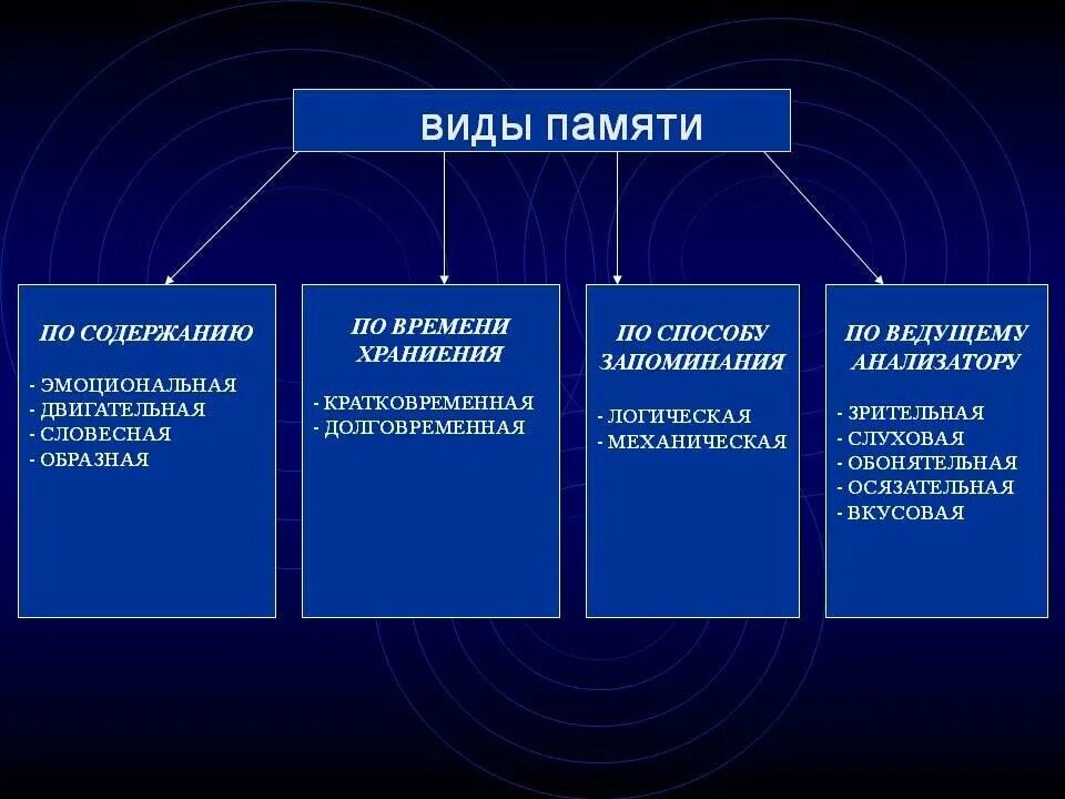 Сколько бывает памяти. Виды памяти. Виды памяти у человека. Перечислите виды памяти. Классификация основных видов памяти.