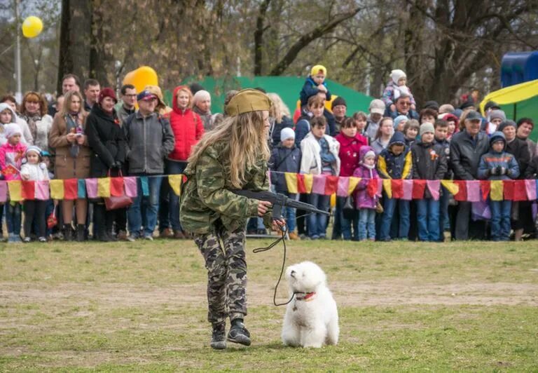 Выступление щенка. Выступление щенка