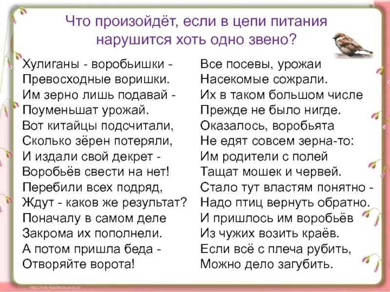 Пословица пришла беда отворяй ворота. Кто что ест 3 класс окружающий мир. Хулиганы воробьишки превосходные воришки им зерно лишь подавай. Проект кто что ест окружающий мир 3 класс. Воробей хулиган.