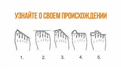 Как узнать кто был в роду