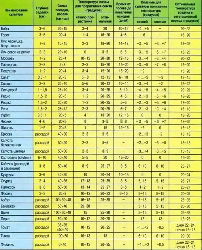 На какой день всходят семена перца