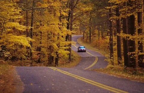 Fall n