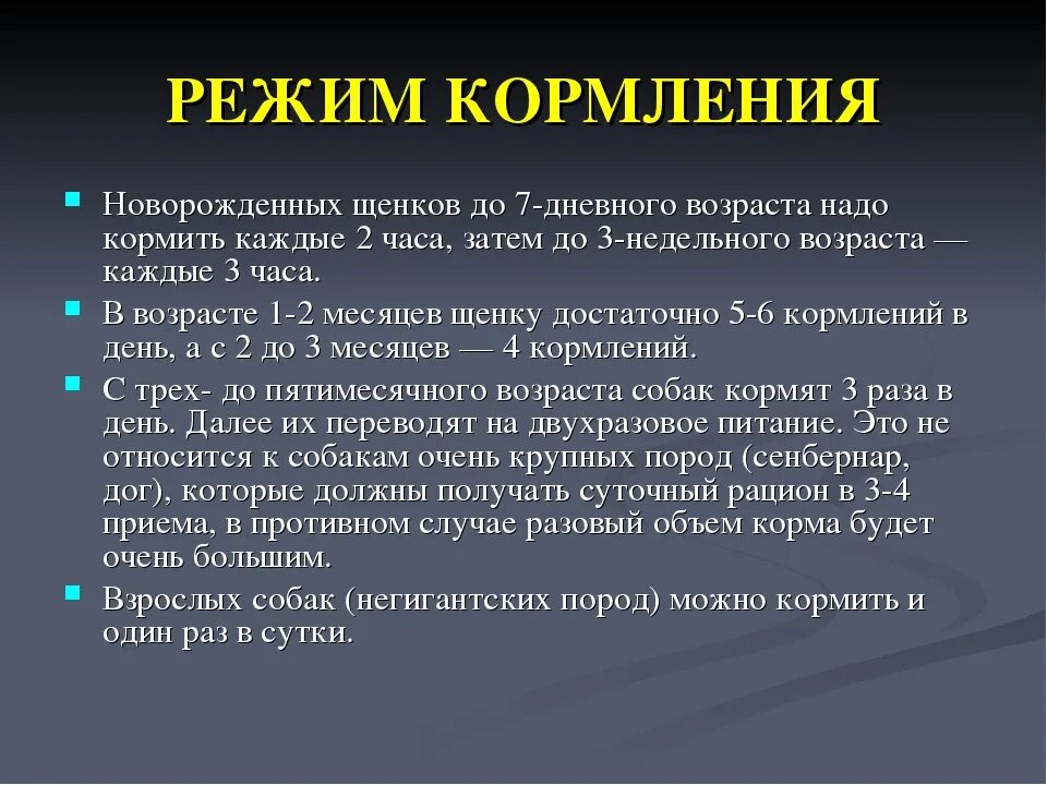 Чем кормить щенка меньше месяца. График кормления щенка 2 месяца. режим кормления 2 месячного щенка. режим кормления щенка 5 месяцев. режим кормления щенка по месяцам.