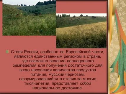 Субъекты степи
