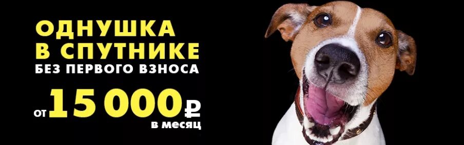 Без 1 предложений 11. Без 1 предложений 11