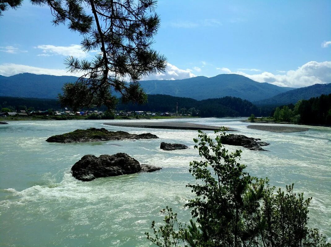 озеро манжерок горный. река катунь манжерок. манжерок. манжерок. манжерок.