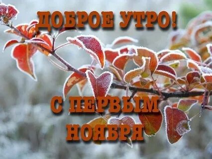 Первый день ноября доброе