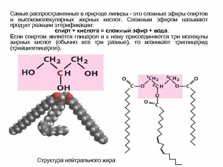 Расщепление высокомолекулярных соединений. Самое сложное органическое соединение. Самое сложное органическое вещество. Сложные сложные органические вещества. Самое сложное вещество в органической химии.