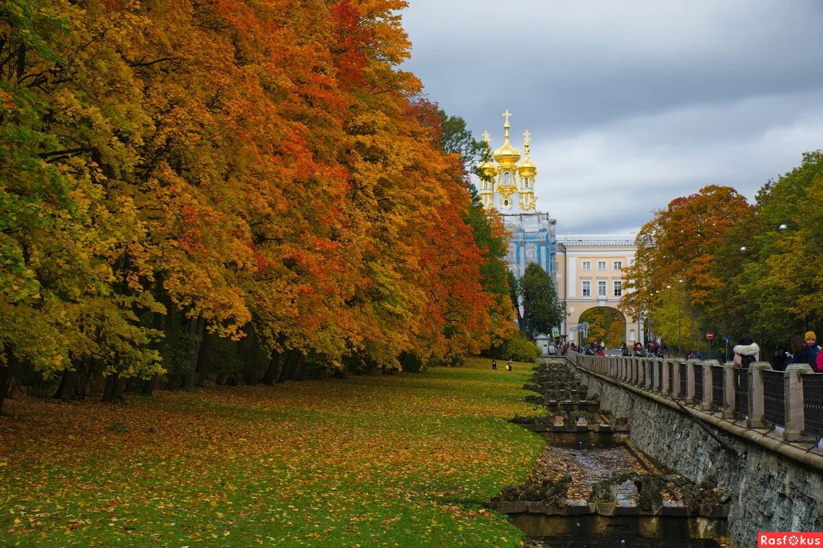 Осень Санкт-Петербург Царское село. Царское село Санкт-Петербург осенью. Осень Царское село Кронштадт. Царское село Пушкин Золотая осень лицей.