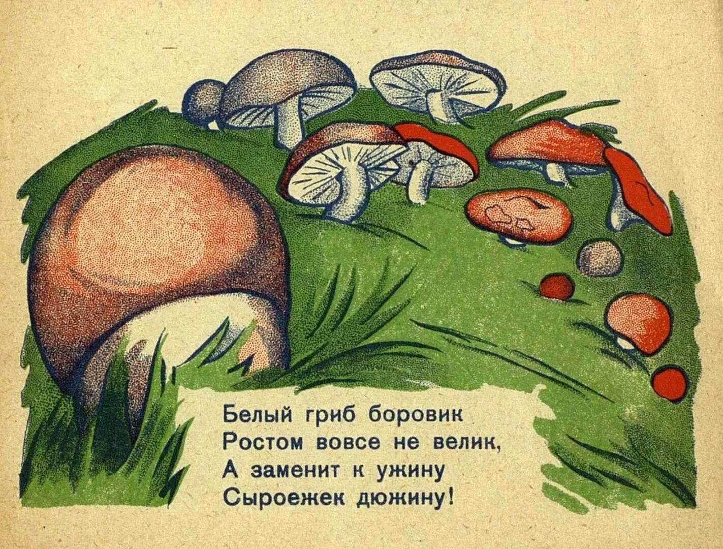 Чтение про грибы. Яков тайц по грибы. яков тайц по грибы иллюстрации. я. тайц «по грибы, по ягоды». иллюстрации к произведению тайц по грибы.