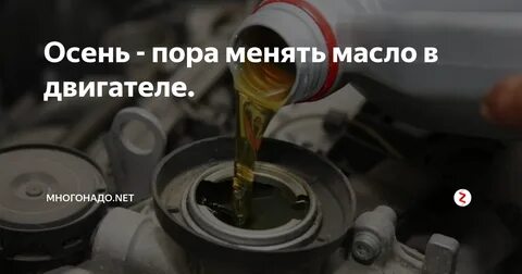 В какое время года менять масло