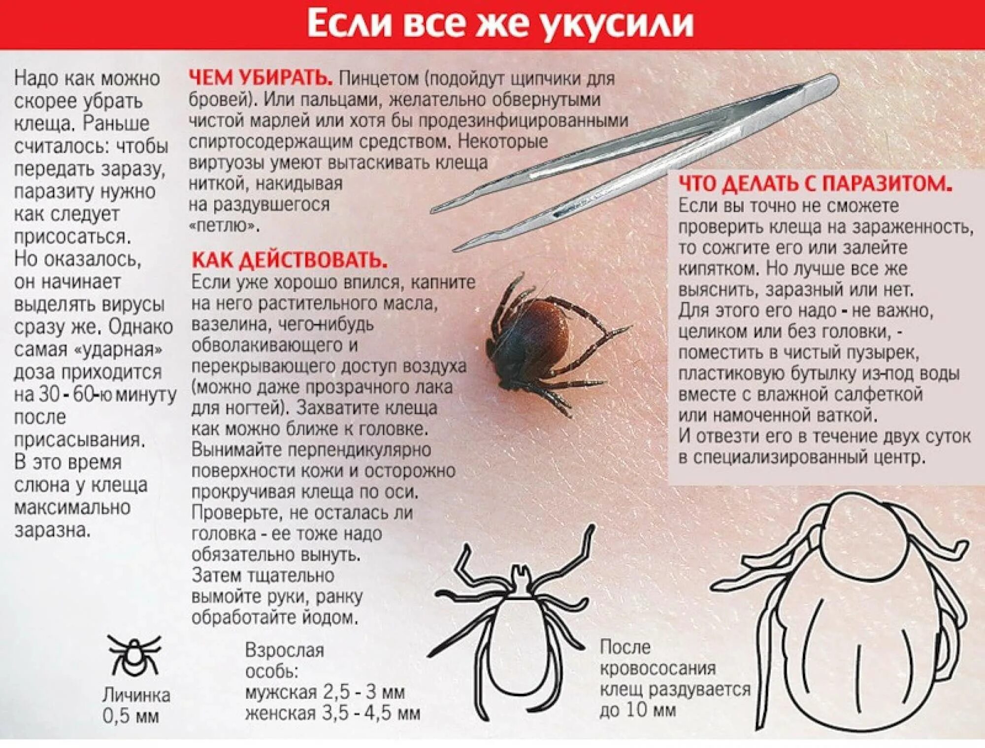 О мерах профилактики инфекций, передаваемых человеку при укусах клещей Управлени