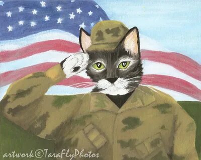 Кот военкомат